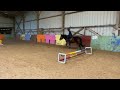 Poney C - 11ans - Hongre 