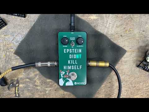 Acorn Amplifiers Epstein Didn't Kill Himself Fuzz Pedal 2024 | Reverb
