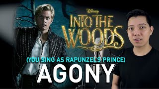 Agony (Cinderella&#39;s Prince Part Only - Karaoke) - Into The Woods