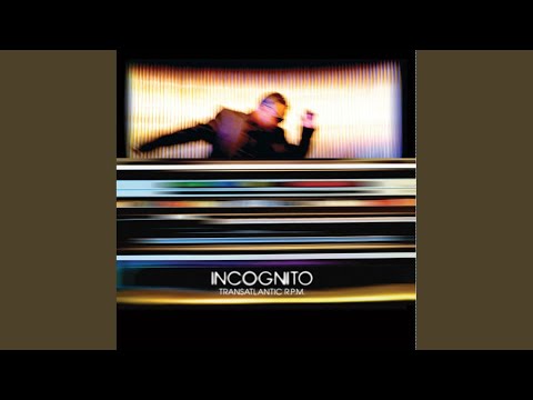 Let's Fall in Love Again