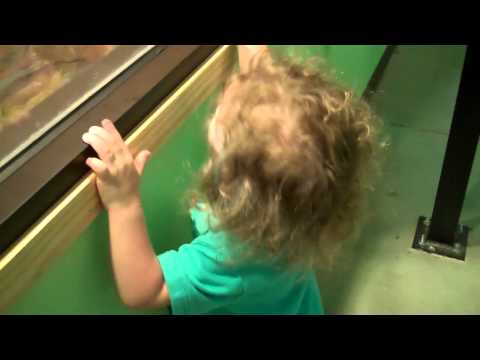 CH - its a  nake  (August 05, 2013)