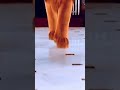 Simhadriya Simha Song Vishnuvardan Whatsappstatus Vishnuvardhan Kbcreations Status Kiranbasapur