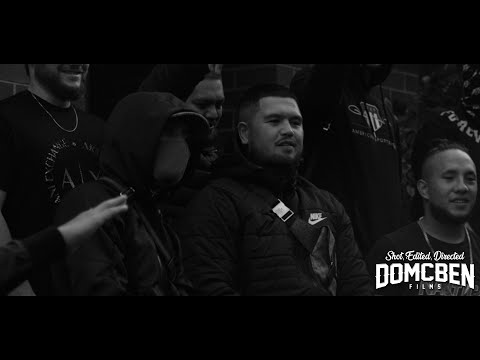 Shely 210 - Terms & Conditions