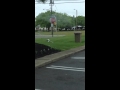 Seagulls Love Mcdonalds