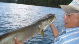 preview picture of video 'Green Island Lodge Fly-in Fishing'