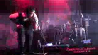 The blackout - spread legs not lies