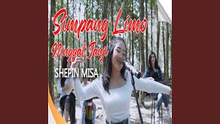 Download lagu Simpang Limo Ninggal Janji mp3 Download lagu Simpang Limo Ninggal Janji mp3