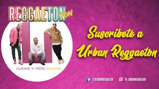 Alexis Y Fido, Nacho - Reggaeton Ton (Video Lyrics)