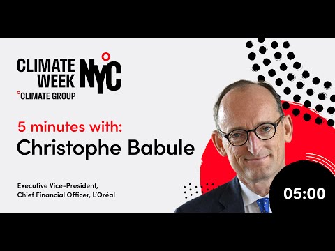 Christophe Babule, Executive Vice-President, Chief Financial Officer ...