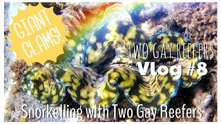 Snorkelling with Two Gay Reefers Part 2