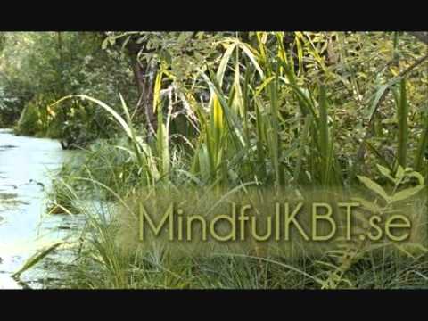 Kortare kroppsskanning