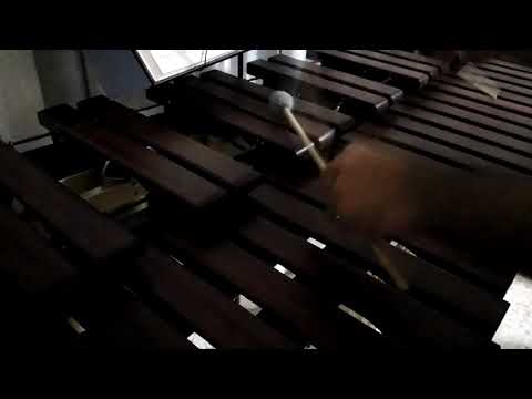 Inni di lode N°80: Alleluia! Il Buon Gesù Marimba Cover