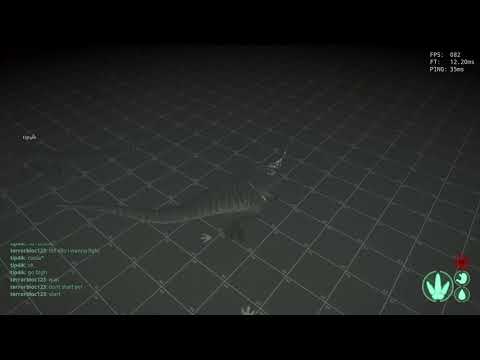 bary vs dilo night time