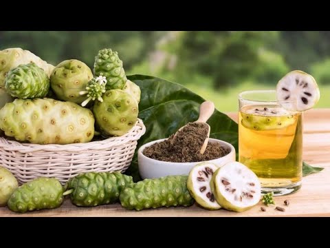 The Incredible Benefits of Noni Juice