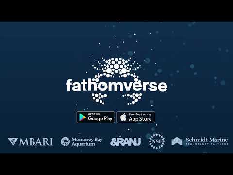 FathomVerse