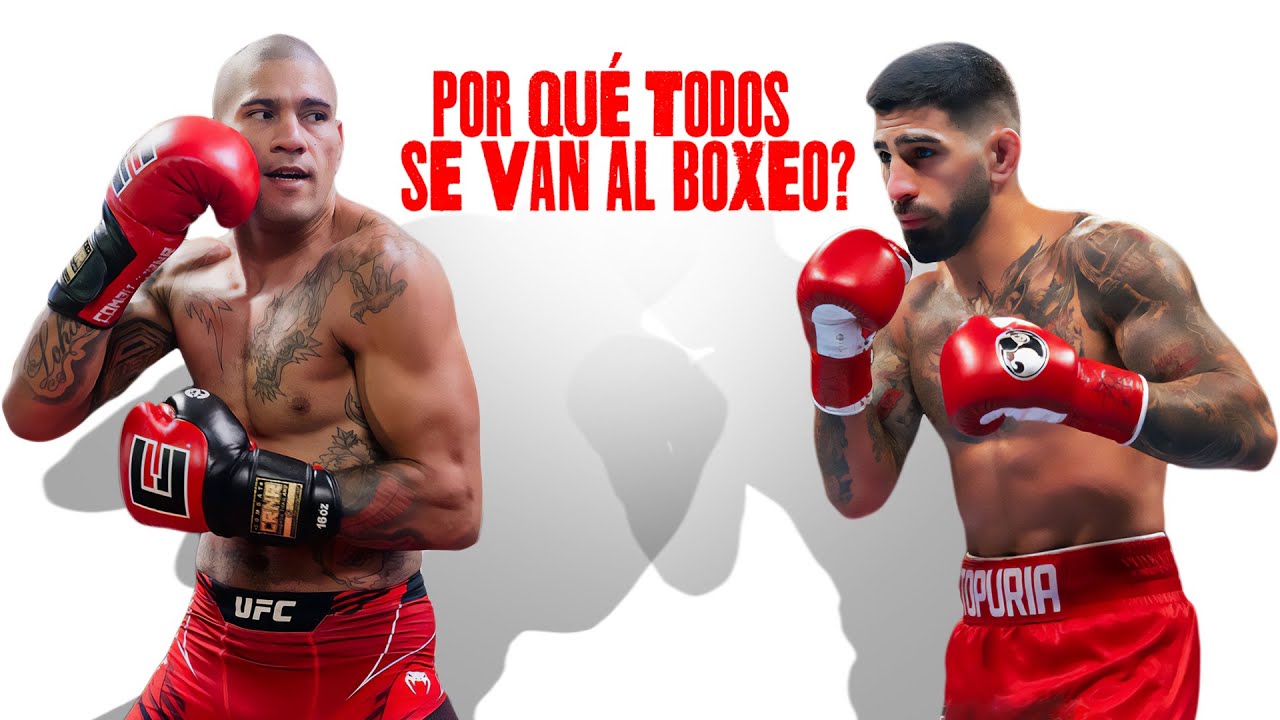 Por qué ALEX, ILIA y MUCHOS CAMPEONES se VAN al BOXEO?