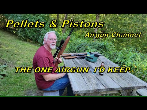 IF I COULD ONLY KEEP ONE AIRGUN