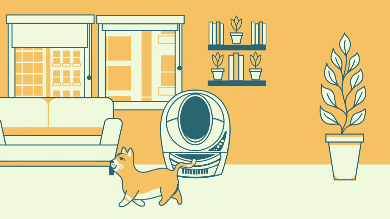 Automatic, SelfCleaning Litter Box for Cats LitterRobot Australia