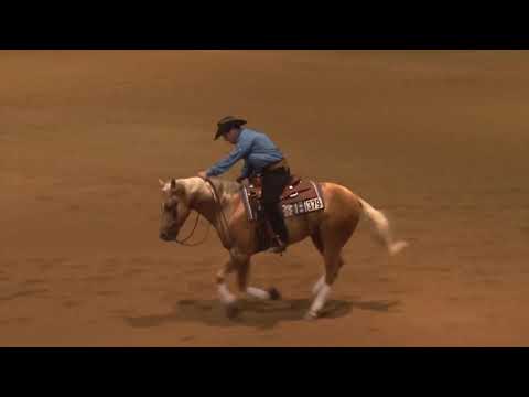 190223 Open Derby Peter DeFreitas on Be Aech Beau