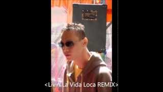 Livin La Vida Loca Remix