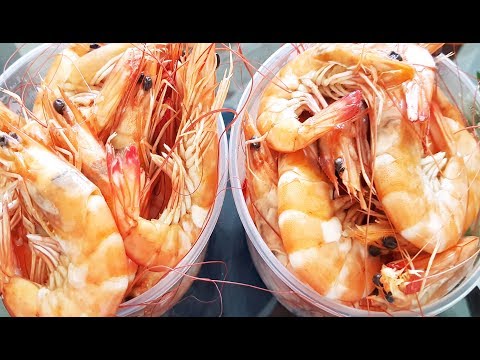 Amazing Street Food In Kien Svay - Buying FRESH Seafood At Prek Eng Market