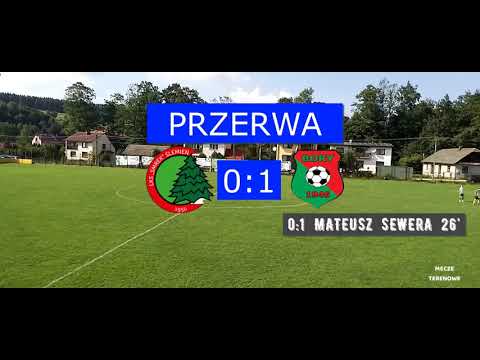 LKS SMREK ŚLEMIEŃ - LKS BORY PIETRZYKOWICE  0:2 ( 0:1 ) BRAMKI WYNIKI, TABELA , ZAPOWIEDŹ 4 KOLEJKI