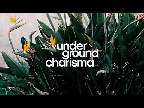 JR JARRIS - Garlic Fries (w/ Raja)