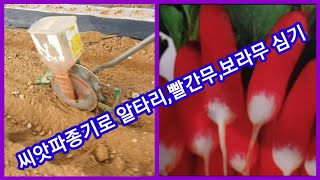 씨앗 파종기로 알타리,빨간무알타리,보라무알타리 심었습니다~ 주말농장,텃밭