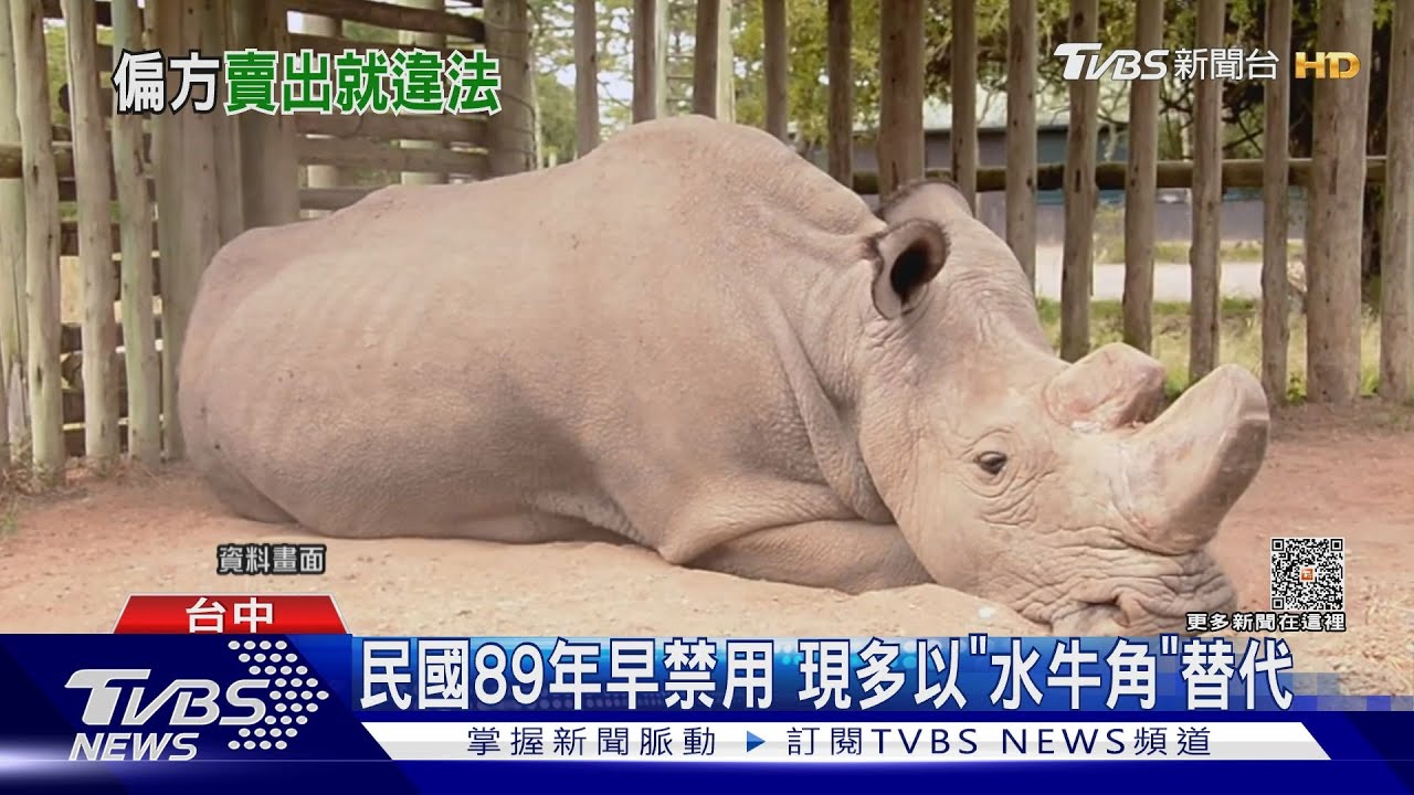 犀牛角僅清熱、解毒 其他藥師:未有治癌功效