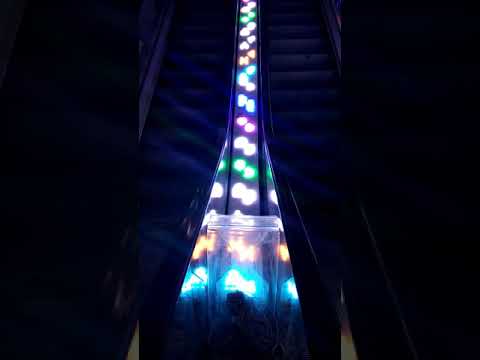 Londra 2017 - Cyberdog