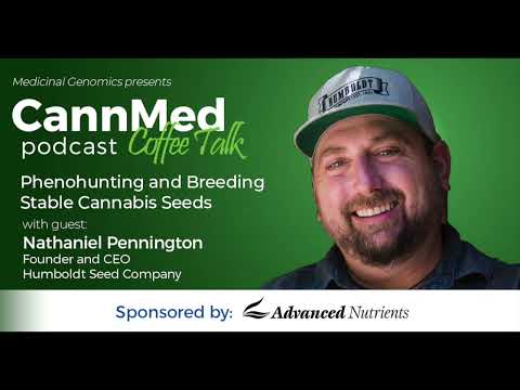 Phenohunting and Breeding Stable  Cannabis Seeds with Nathaniel Pennington
