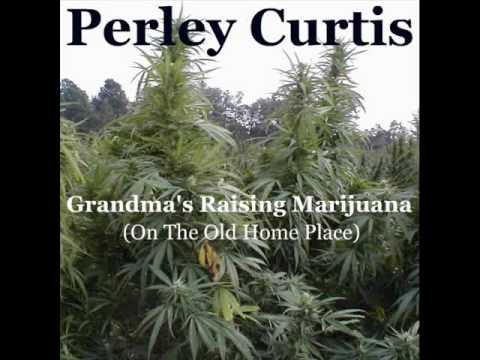 Perley Curtis ~ Grandma's Raising Marijuana