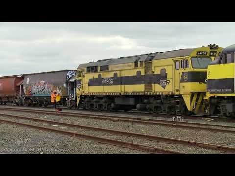 Flagman & Detonators / 7934V SSR Grain Train (30/7/2019) - PoathTV Australian Railways