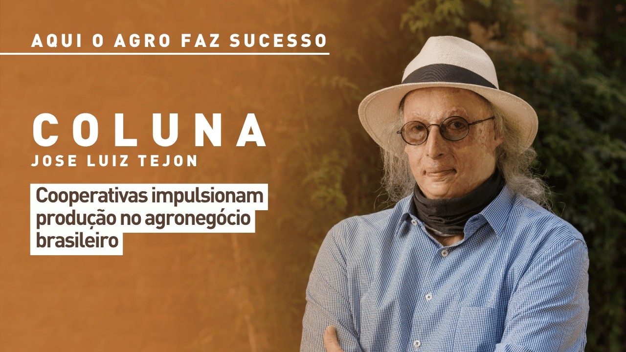 Aqui o Agro Faz Sucesso: cooperativas impulsionam produção no agronegócio brasileiro