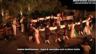 Arakne Mediterranea a Zakynthos Agosto 2010.mpg