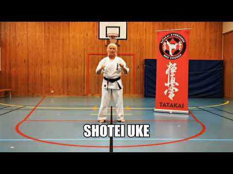 Shotei Uke
