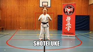 Shotei Uke