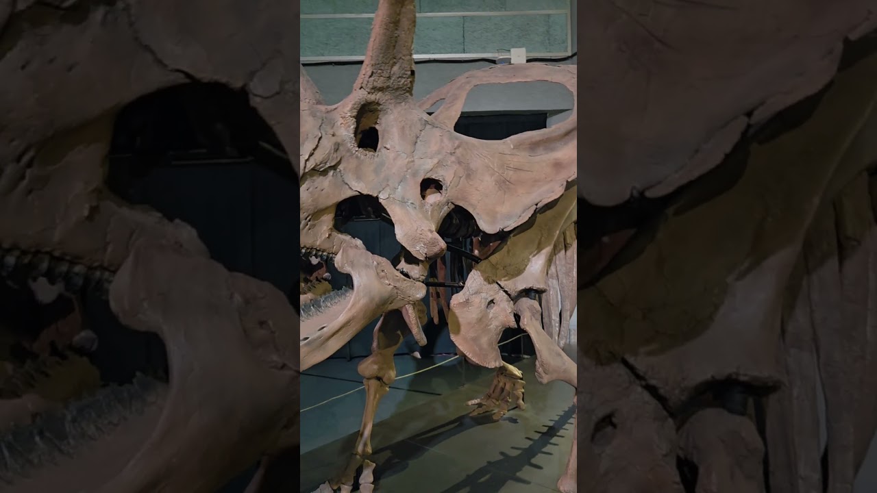 We visited “DINOSAURS | EXTINCTIONS | US” back in Dec 2025