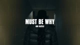 Must Be Why Music Video
