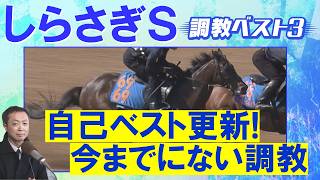 【伏兵がランクイン！】エコロアルバ、ファーヴェント、ファンダム・・・競馬エイト・高橋賢司トラックマンの調教解説＜しらさぎステークス(ＧⅢ)＞