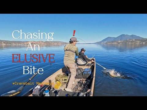 A Hero to Zero Moment (Clear Lake, CA)