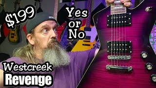 Video thumbnail for Is the Purple Guitar a Good Investment? by 6StringStanger