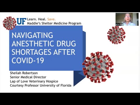 Helping Animal Shelters Navigate Anesthetic Drug Shortages after COVID