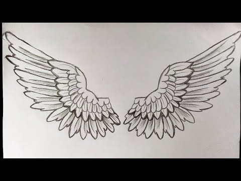 YouTube video about: How to draw bird wings easy?