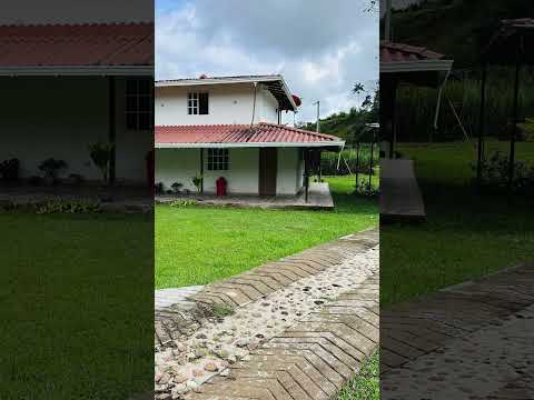 Casa finca con 7.000 metros cuadrados de terreno plano en San Roque Antioquia-$550.000.000