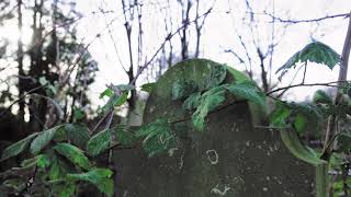Music video thumbnail preview for Funerarium/Advitam Catafalque Réédition Dygipack 2022 by Funérarium