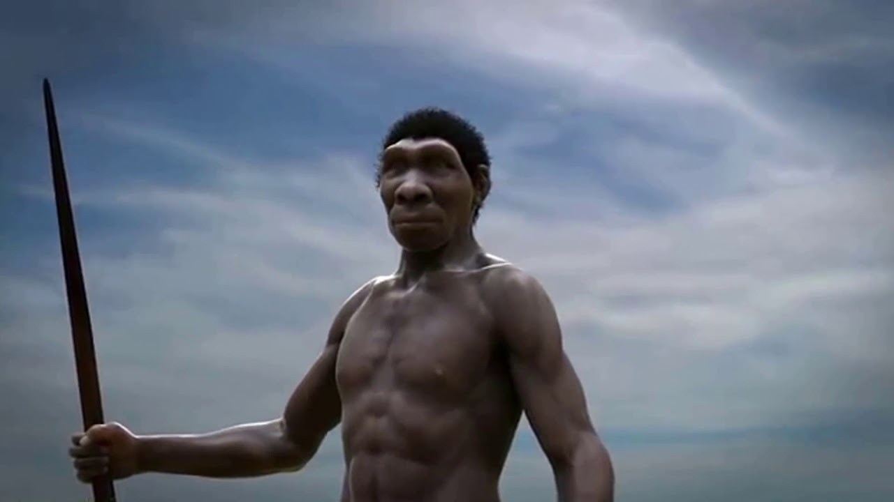 Teoria da Evolução