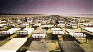 Pink Floyd - ''A New Machine, Pt. 1''
