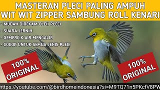 Download lagu masteran pleci wit wit zipper sambung kenari suara gemercik air untuk terapi pleci di malam hari mp3 Download lagu masteran pleci wit wit zipper sambung kenari suara gemercik air untuk terapi pleci di malam hari mp3