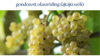 16 400 m2 beépíthető külterület eladó Balatonszepezden